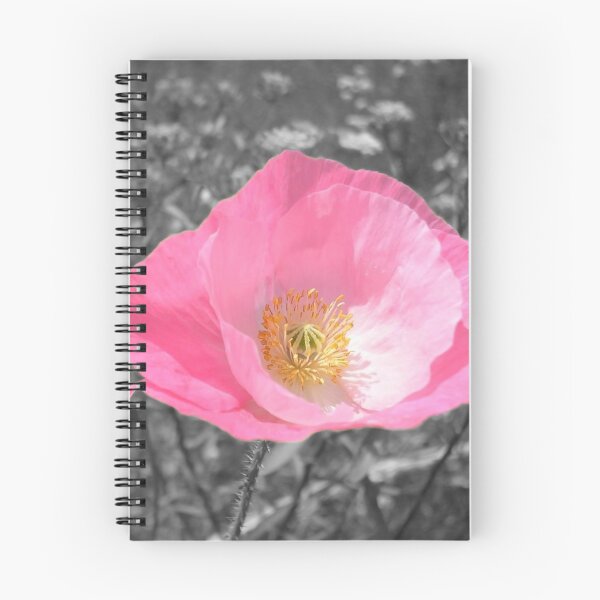 Item preview, Red poppies discolored to pink because of rain selective color designed and sold by Grégory DUBUS.
