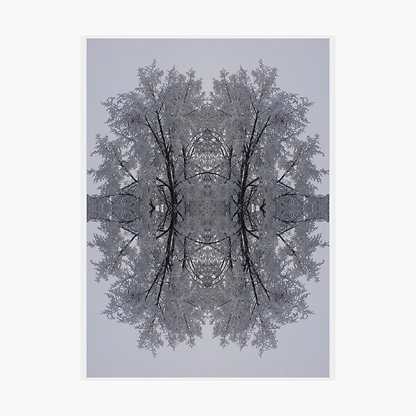 And When They Came Together A Beautiful Pattern Evolved (I) Photographic Print