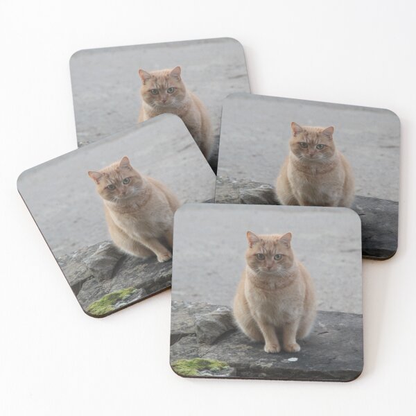 Item preview, Lovely red cat sitting in a farm designed and sold by EstelleRossetti.