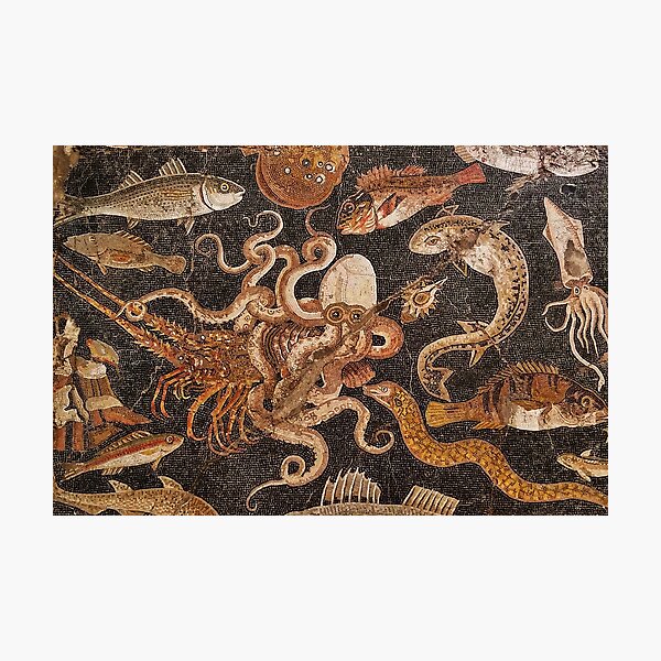 Item preview, Pompeii Octopus and Fish designed and sold by vichcic.
