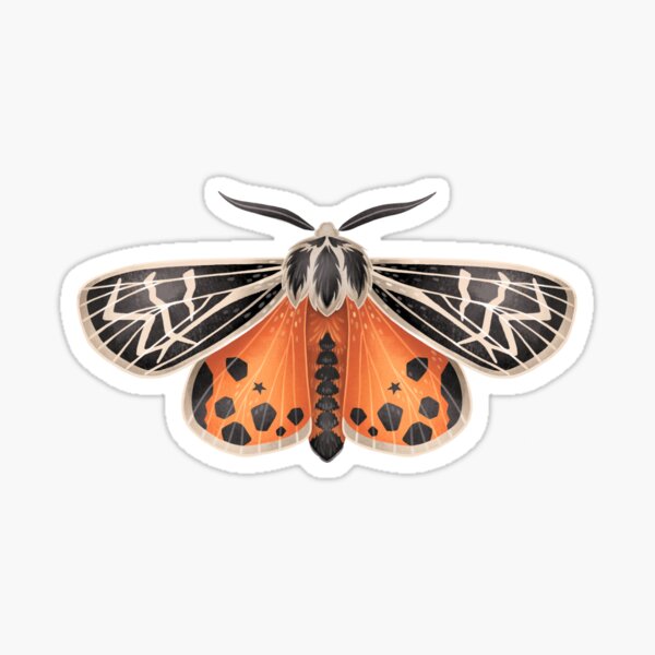 Tiger Moth Sticker