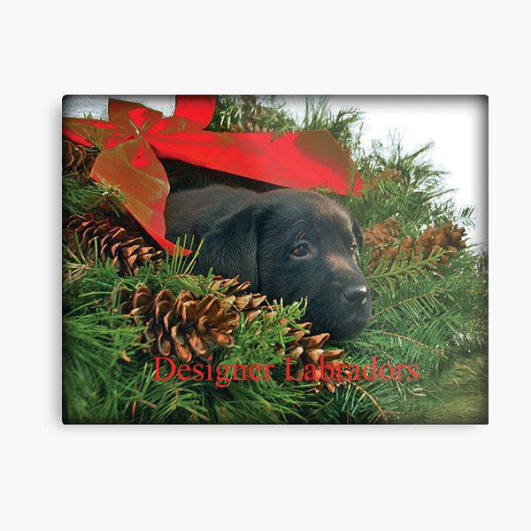 Merry Christmas! Metal Print