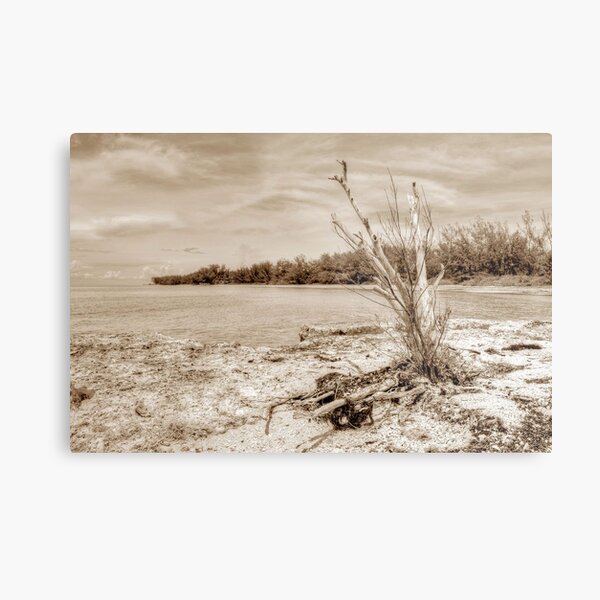 The Sentinel at Coral Harbour in Nassau, The Bahamas Metal Print
