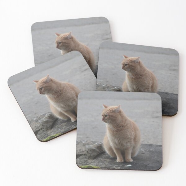 Item preview, Lovely red cat sitting in a farm designed and sold by EstelleRossetti.
