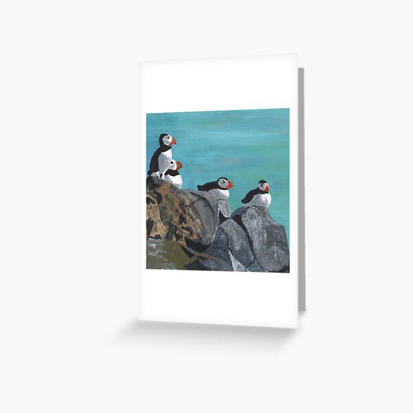 A group of Puffins on Rocks Greeting Card