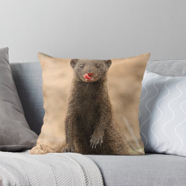 Item preview, A Dwarf Mongoose with personality! designed and sold by Anthony Goldman.