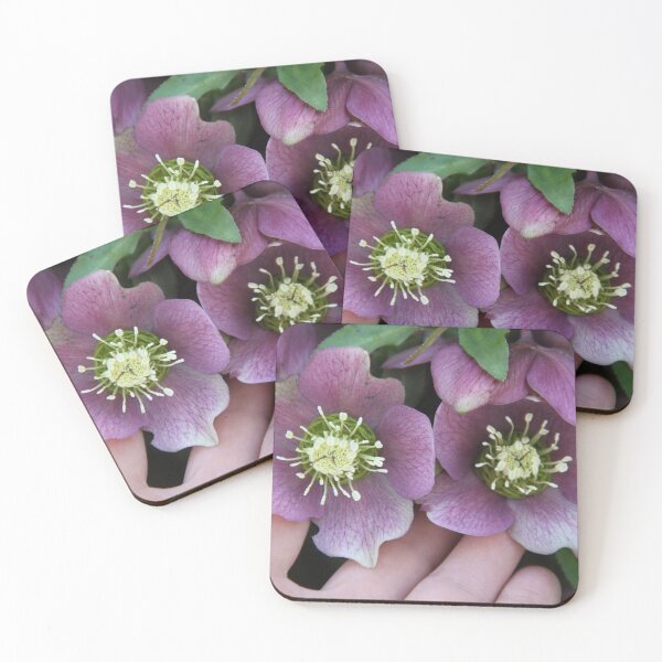 Item preview, Black hellebore flower medicinal plant	 designed and sold by EstelleRossetti.