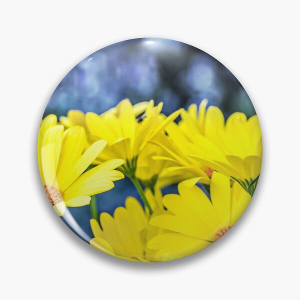 Artikelvorschau, Nahaufnahme der wunderschönen gelben Osteospermum-Blüten im Frühling entworfen und verkauft von Grégory DUBUS.