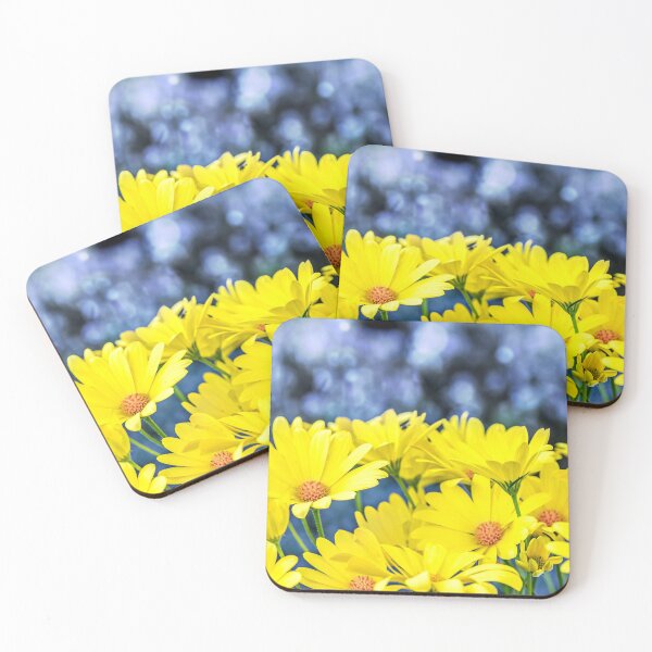 Artikelvorschau, Nahaufnahme der wunderschönen gelben Osteospermum-Blüten im Frühling entworfen und verkauft von Grégory DUBUS.