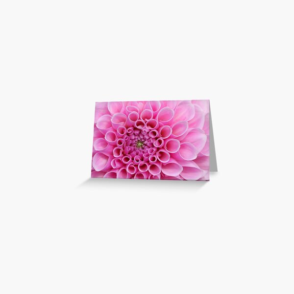 Dream Wedding Greeting Cards Redbubble - rc cute pinkish girly shirt roblox