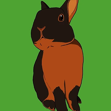 Artwork thumbnail, Tan Rabbit by Kaninchenfront