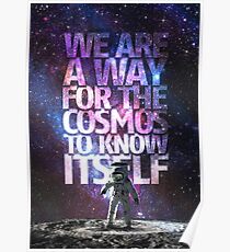 Cosmos Poster