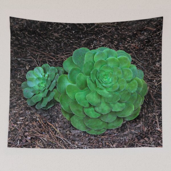 Item preview, Succulent designed and sold by heatherfriedman.