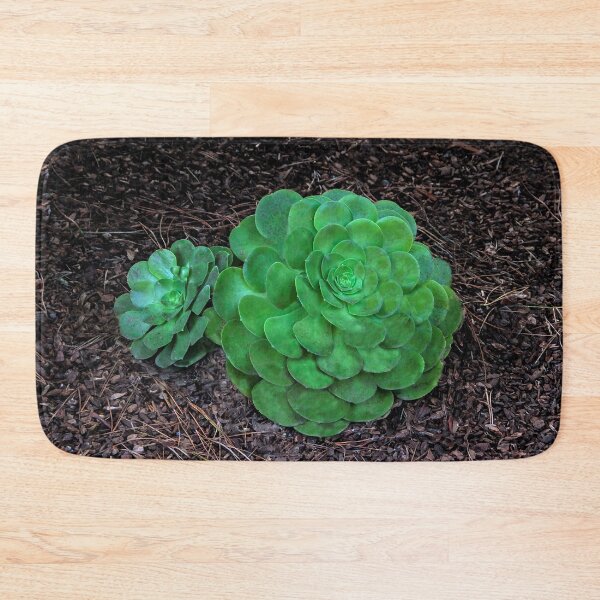 Item preview, Succulent designed and sold by heatherfriedman.
