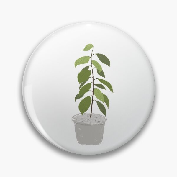 Item preview, Natural plants in gray pots Cute wooden coloring illustration designed and sold by Momixzaaa.
