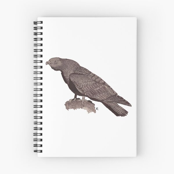 Item preview, Perplexed honey buzzard designed and sold by Ettore Anzalone.