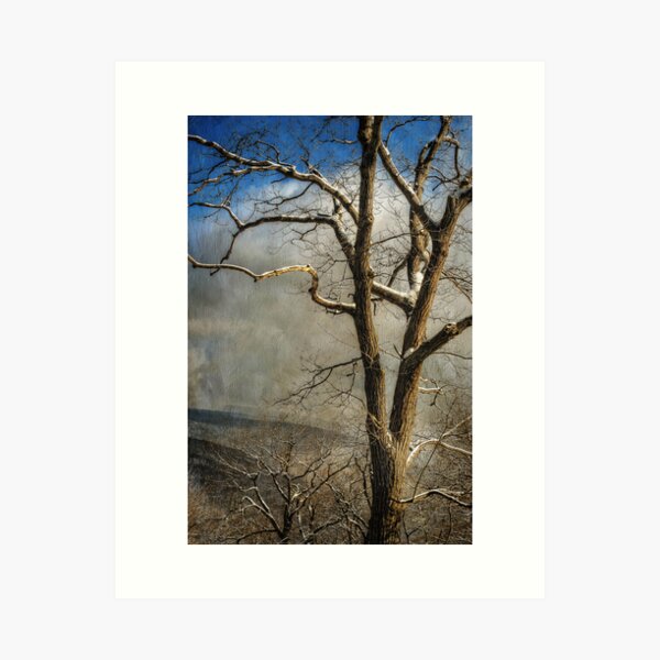 Item preview, Tree In Winter designed and sold by Lois  Bryan.