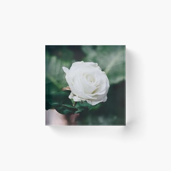 Item preview, Fiori designed and sold by ilferrarese.