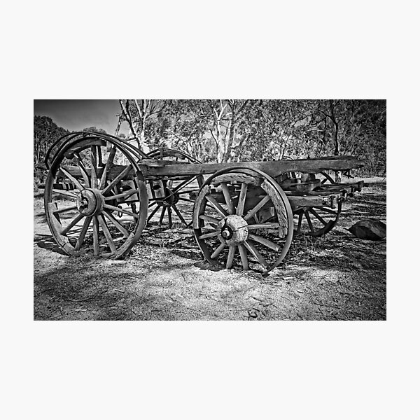 Item preview, Remains of the Dray designed and sold by TonyCrehan.