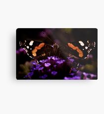 Butterfly on verbena flower. Metal Print