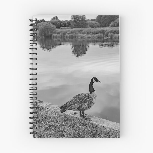 Item preview, Canadian goose by the River Bure in Coltishall designed and sold by yackers1.