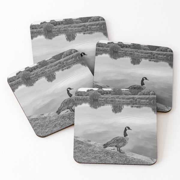 Item preview, Canadian goose by the River Bure in Coltishall designed and sold by yackers1.