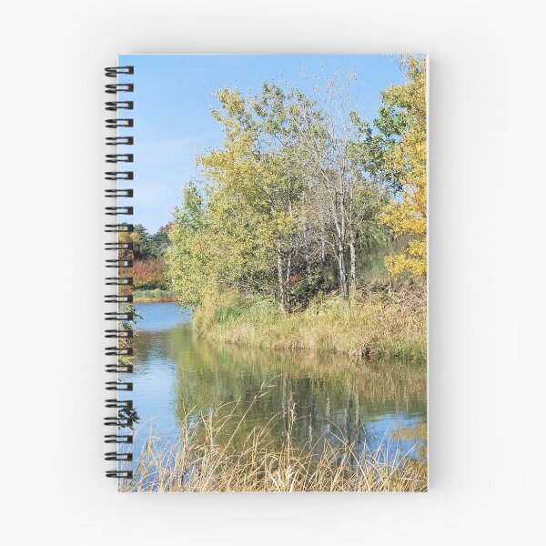 Item preview, Changing Seasons designed and sold by Kathleen Brant.