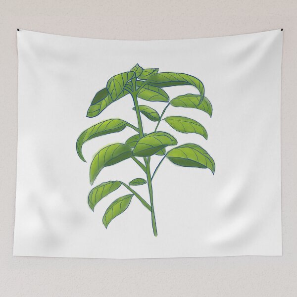 Item preview, Basil Herb designed and sold by BookTalkBecky.