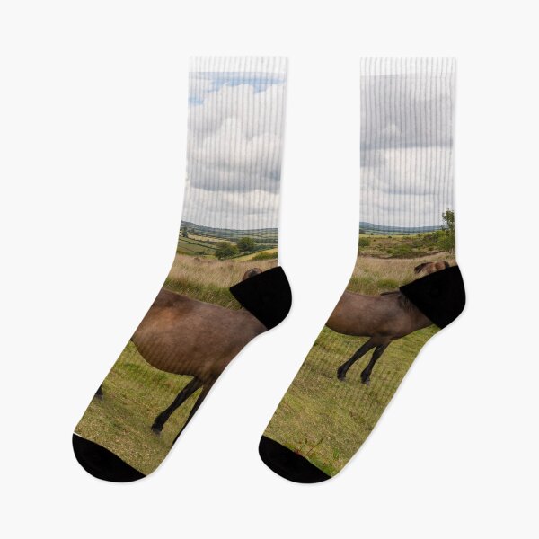 Item preview, Exmoor Ponies at Winsford Hill  designed and sold by hawkie.