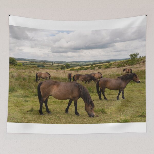 Item preview, Exmoor Ponies at Winsford Hill  designed and sold by hawkie.