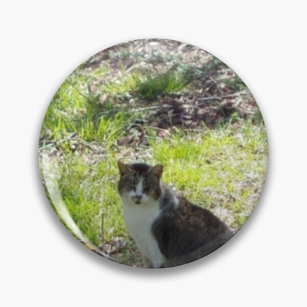 Item preview, Sunshine Kitty designed and sold by MooseDogPhotos.