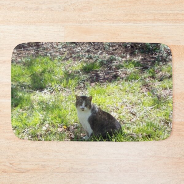 Item preview, Sunshine Kitty designed and sold by MooseDogPhotos.