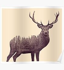 Double Exposure Deer Poster