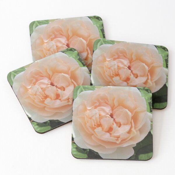Item preview, Beautiful Blush Pink Rose designed and sold by GoNatureDesigns.
