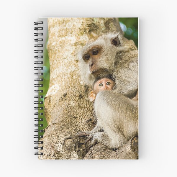 Item preview, Monkey designed and sold by Qudor.