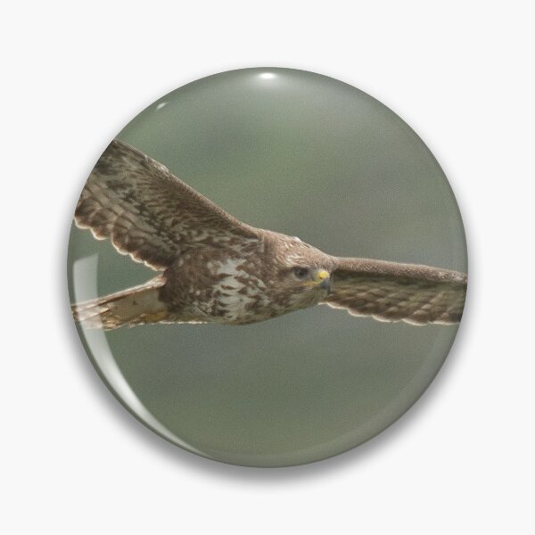 Item preview, Buzzard designed and sold by Derren Jones.