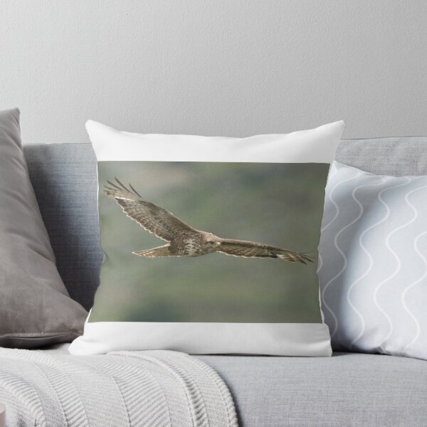 Item preview, Buzzard designed and sold by Derren Jones.