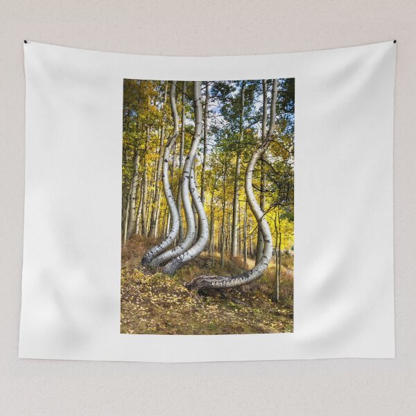 Item preview, Convoluted Aspens designed and sold by nbrandsberg.
