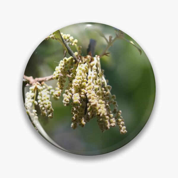 Item preview, Catkins designed and sold by GreyFeatherPhot.