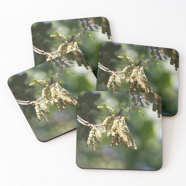 Item preview, Catkins designed and sold by GreyFeatherPhot.