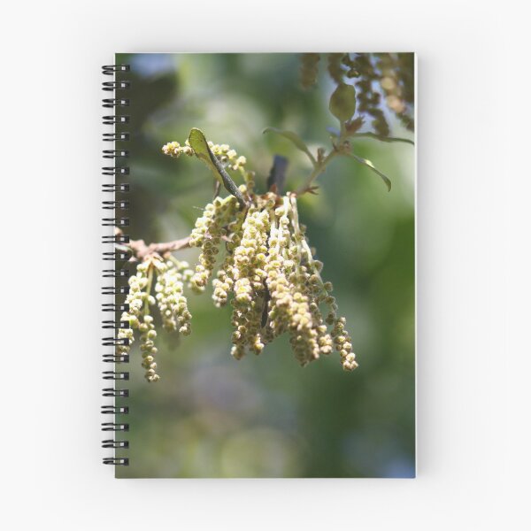 Item preview, Catkins designed and sold by GreyFeatherPhot.
