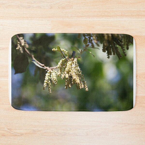 Item preview, Catkins designed and sold by GreyFeatherPhot.
