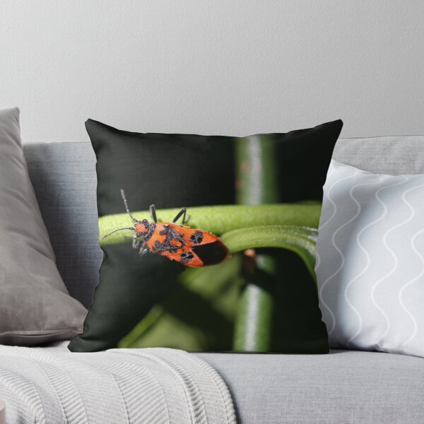 Item preview, Bicho de canela designed and sold by GreyFeatherPhot.