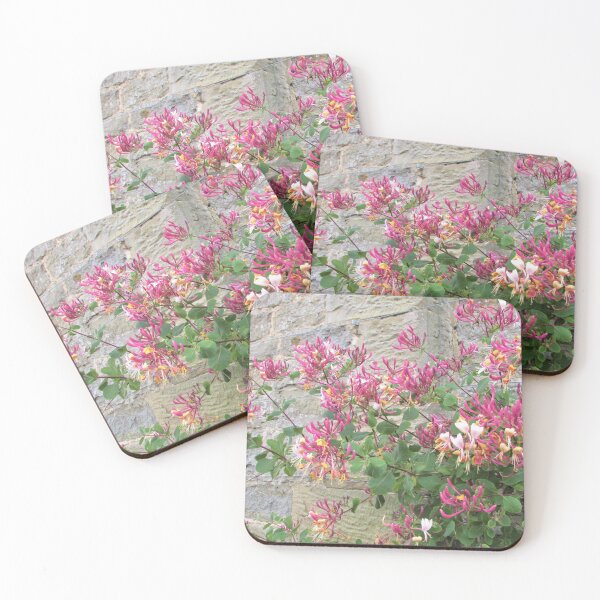 Item preview, Sweet Scented Honeysuckle on a Stone Wall at Croft Castle, Leominster designed and sold by GoNatureDesigns.