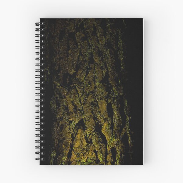 Item preview, torchlit trunk designed and sold by codaimages.
