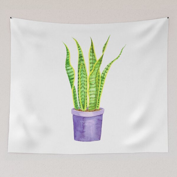 Item preview, Watercolour Snake Plant Succulent designed and sold by Rebekah Melville.