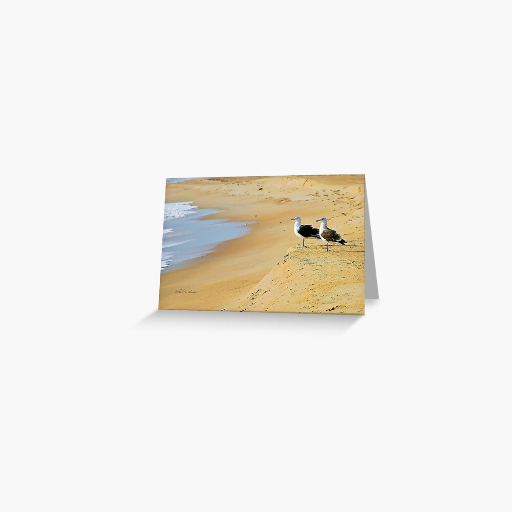 Beach goers Greeting Card