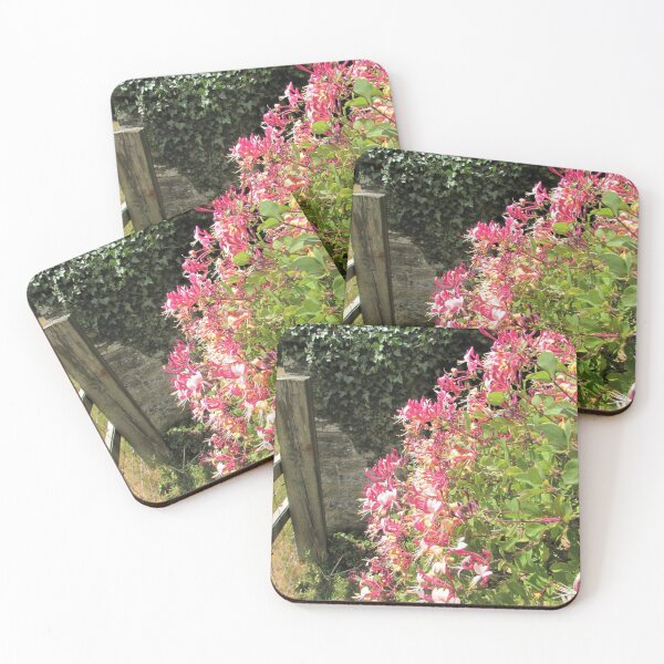 Item preview, Sweet Scented Honeysuckle Heaven at Croft Castle, Leominster designed and sold by GoNatureDesigns.