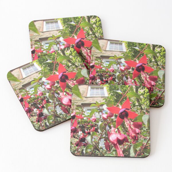 Item preview, Pink and Purple Fuschia at Croft Castle, Leominster, Herefordshire designed and sold by GoNatureDesigns.