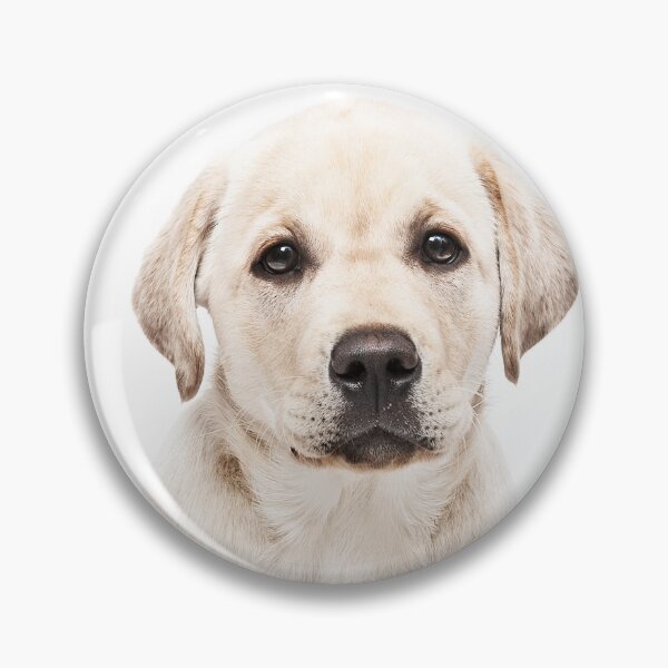 Item preview, Labrador Pup designed and sold by ernest123.